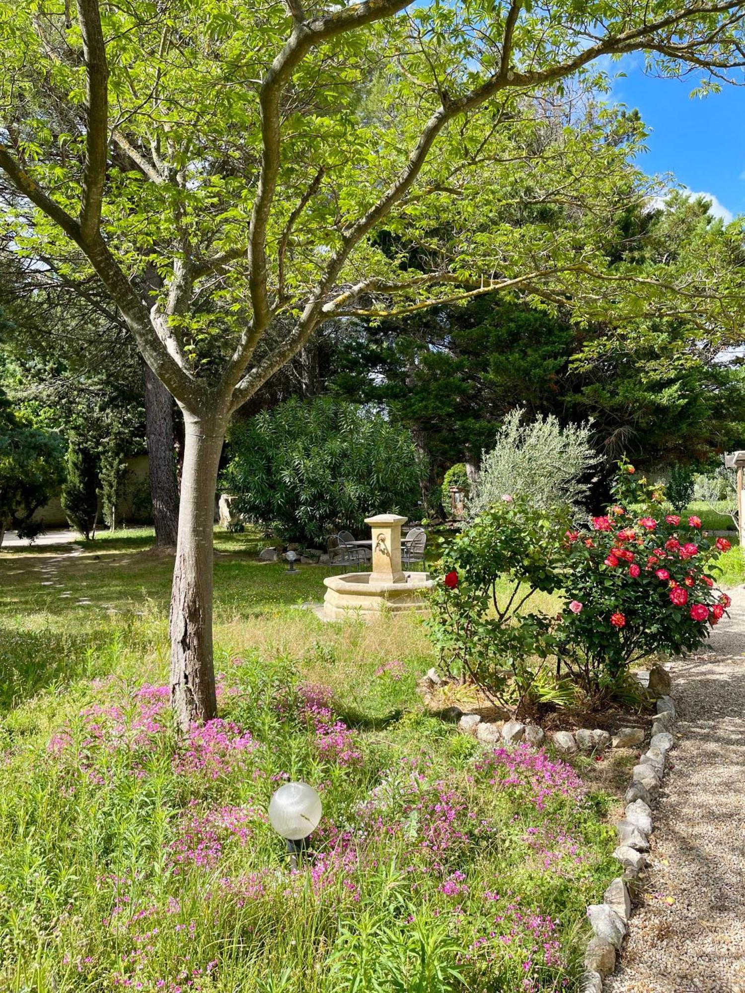 Domaine Au Coeur Des Alpilles Bed & Breakfast Maussane-les-Alpilles Exterior photo