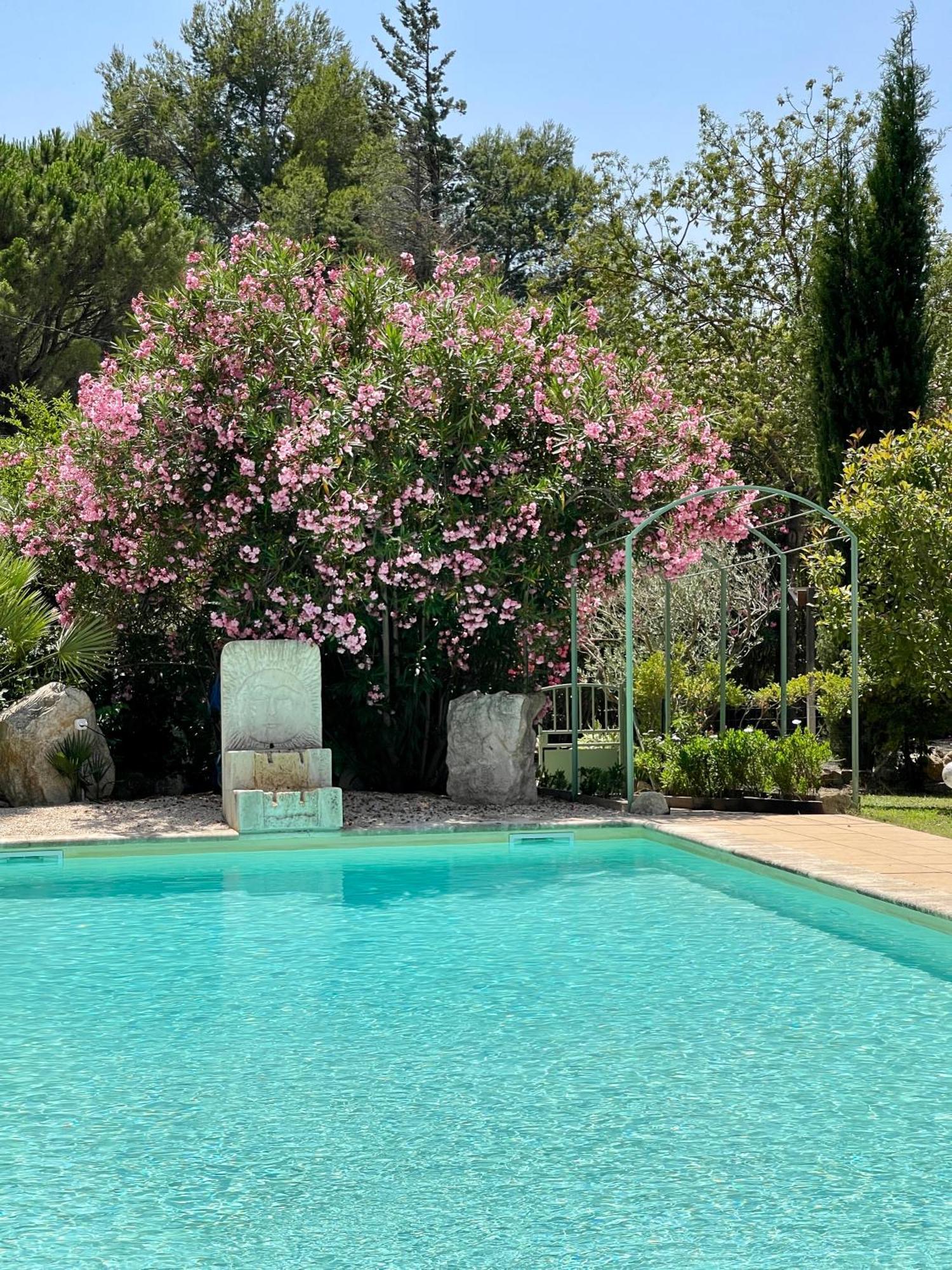 Domaine Au Coeur Des Alpilles Bed & Breakfast Maussane-les-Alpilles Exterior photo