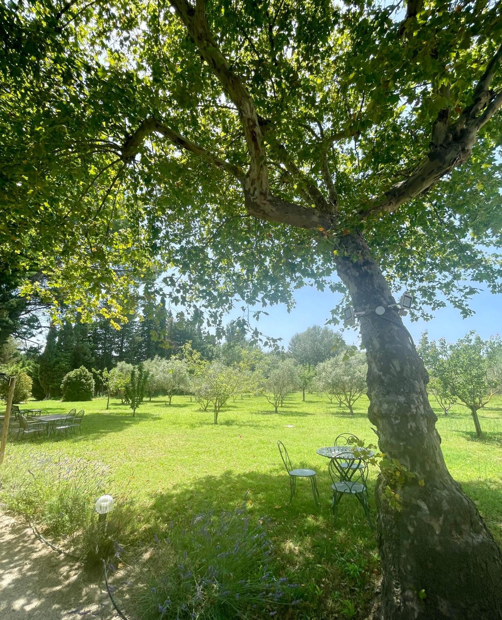 Domaine Au Coeur Des Alpilles Bed & Breakfast Maussane-les-Alpilles Exterior photo