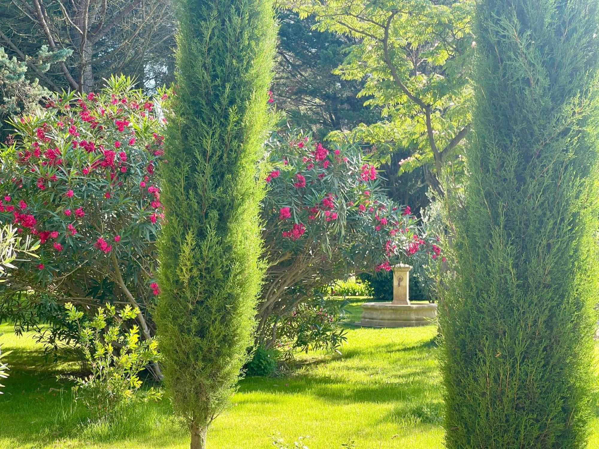 Domaine Au Coeur Des Alpilles Bed & Breakfast Maussane-les-Alpilles Exterior photo